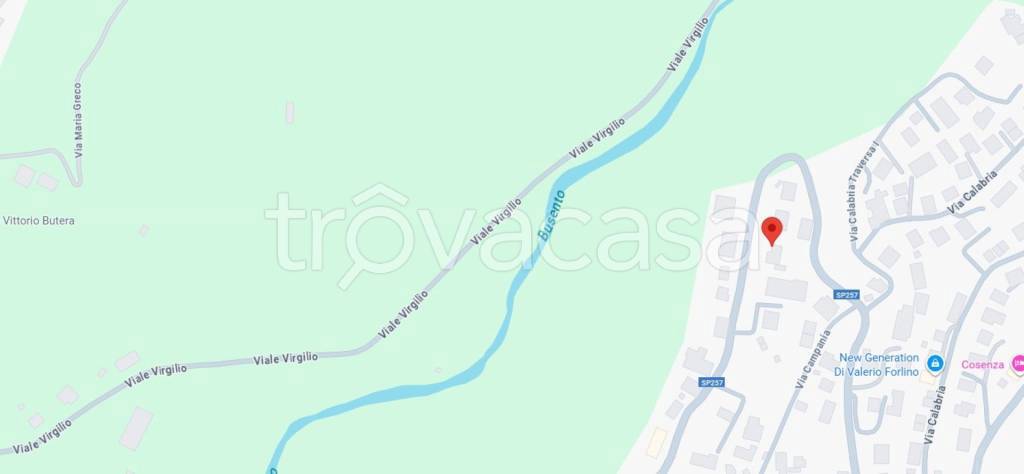 immagine annuncio 6 di 14