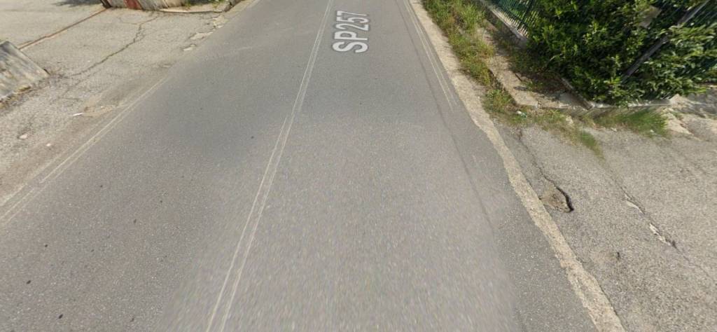 immagine annuncio 7 di 14