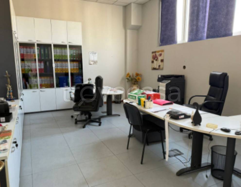 immagine annuncio 6 di 11