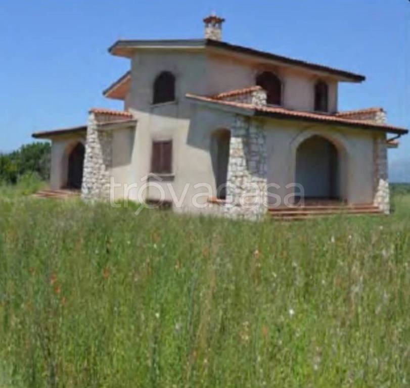 immagine annuncio 9 di 11