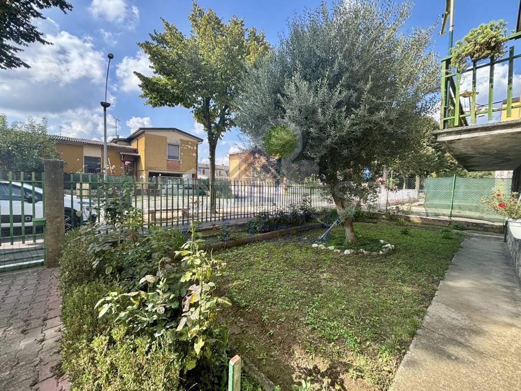immagine annuncio 3 di 15