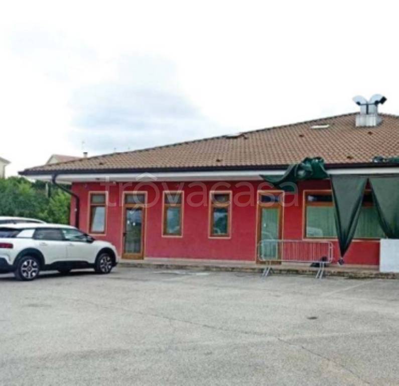 immagine annuncio 1 di 13