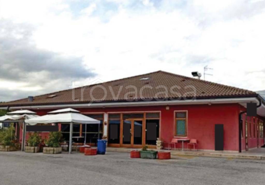immagine annuncio 9 di 12