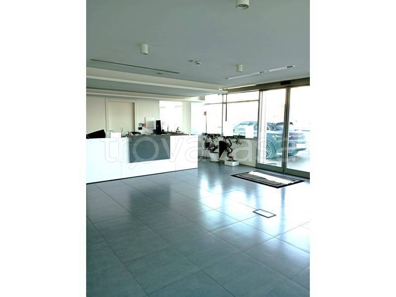 immagine annuncio 5 di 14