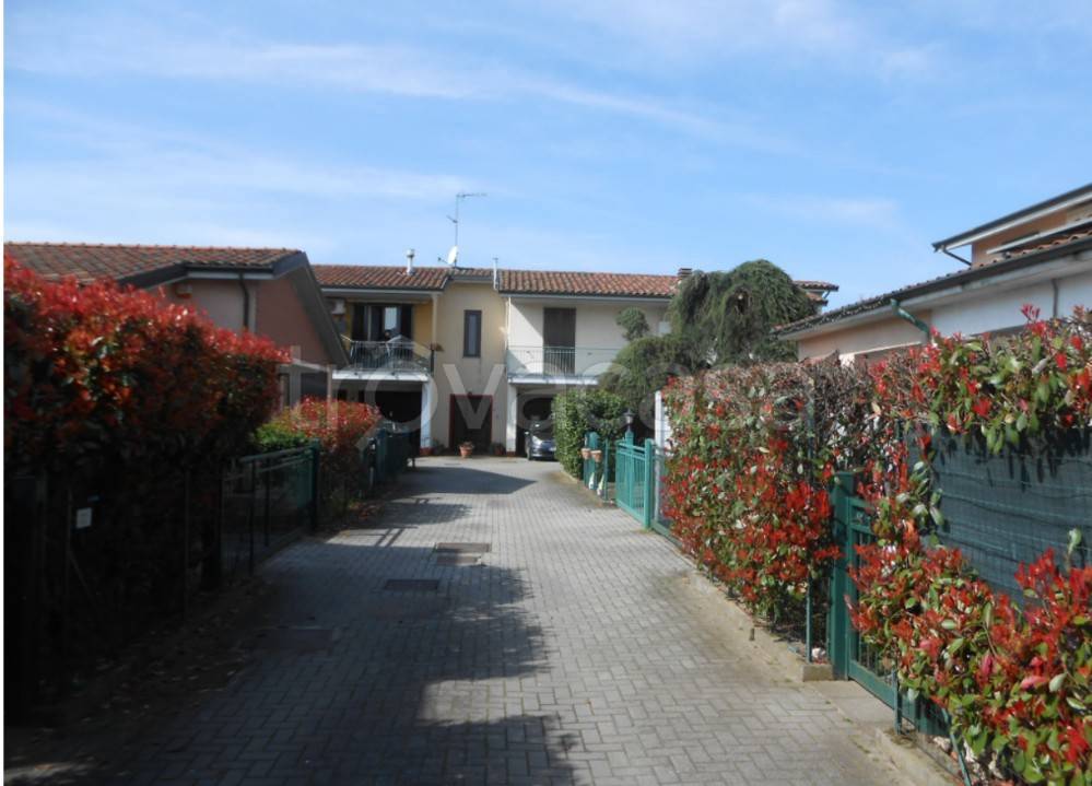 immagine annuncio 1 di 15