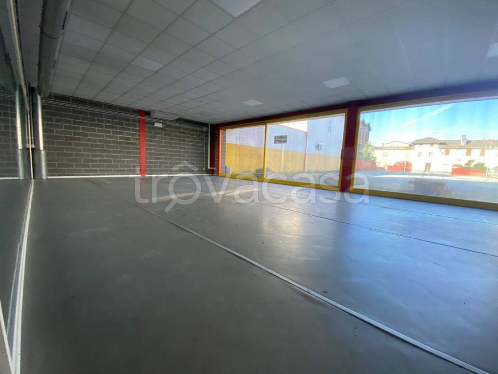 immagine annuncio 3 di 4