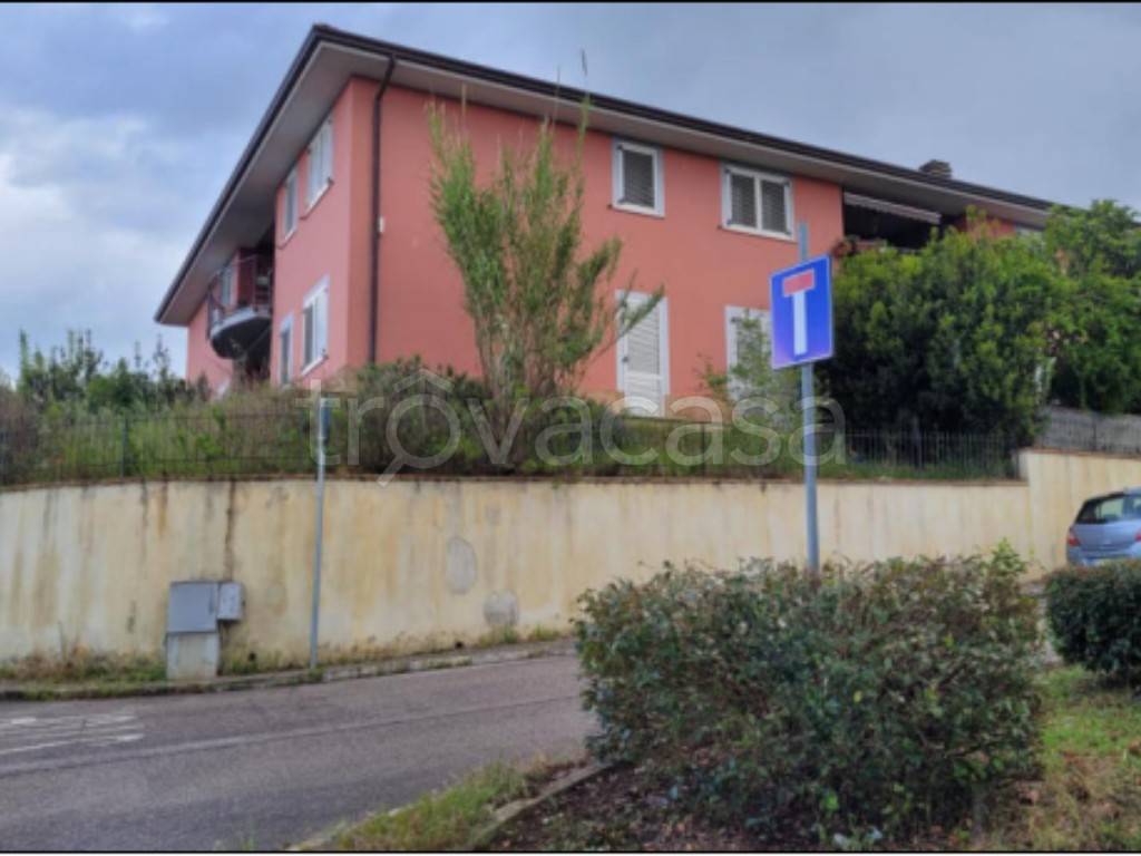 immagine annuncio 2 di 12