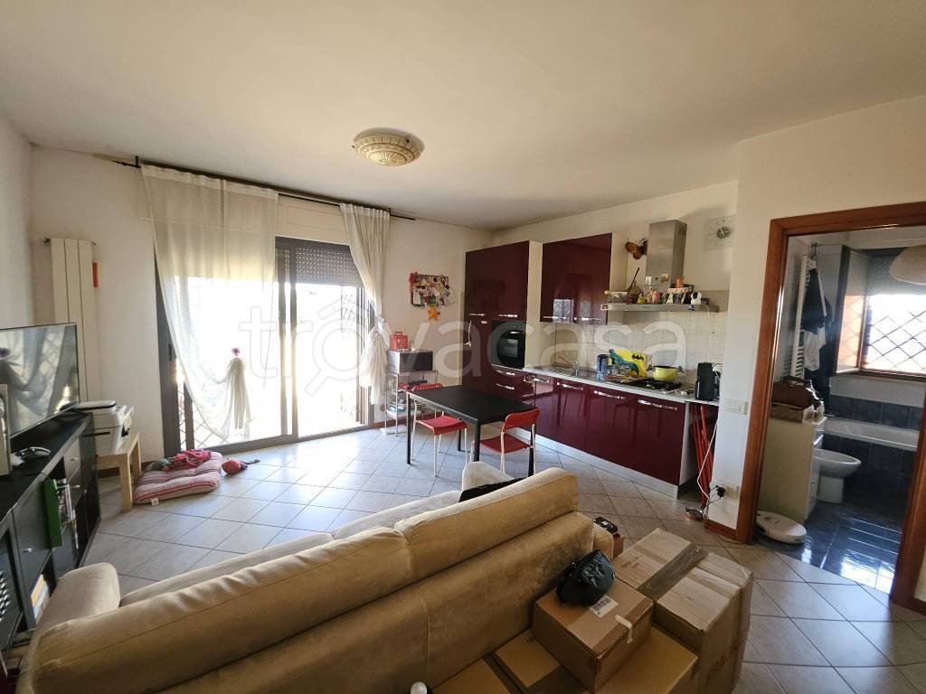 immagine annuncio 9 di 15