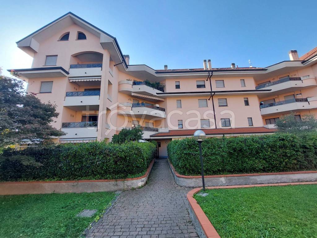 immagine annuncio 3 di 15