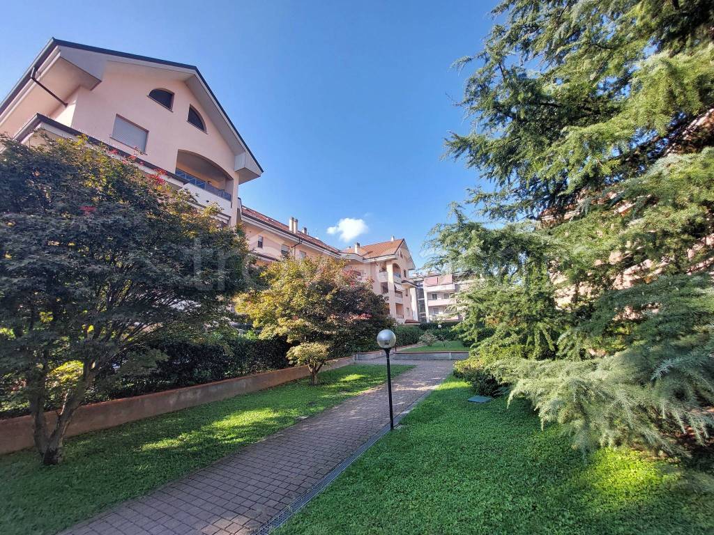 immagine annuncio 9 di 15