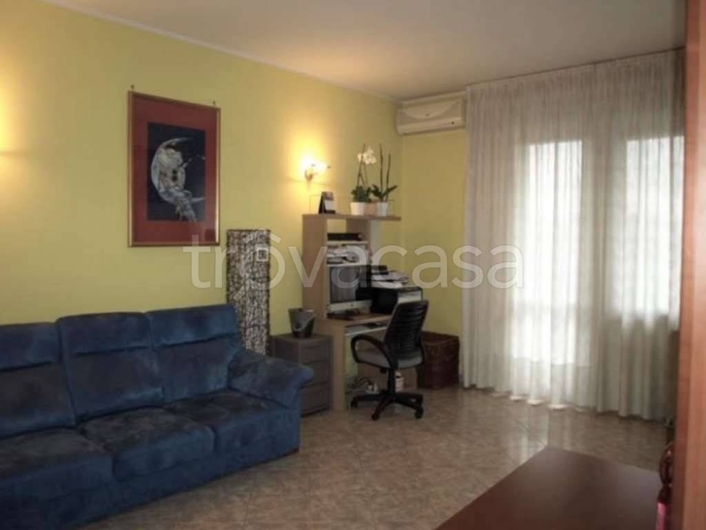 immagine annuncio 3 di 14