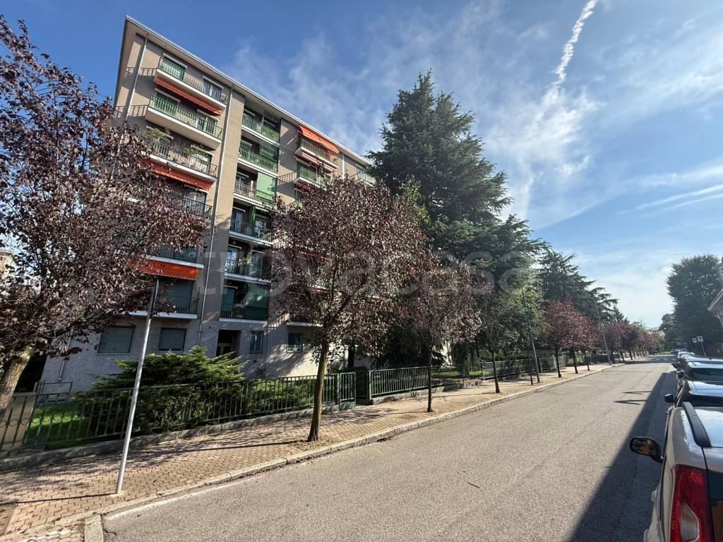 immagine annuncio 8 di 15