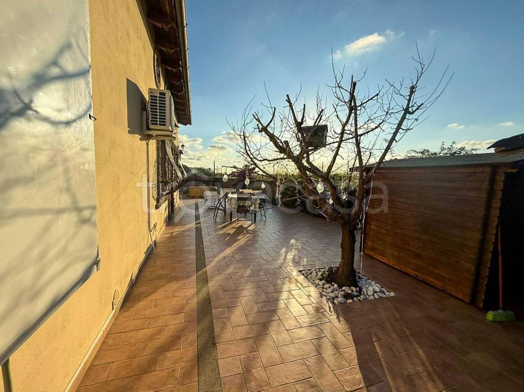 immagine annuncio 9 di 15