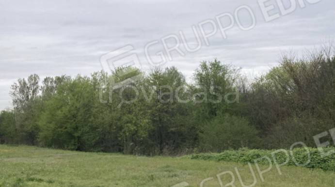 immagine annuncio 6 di 14
