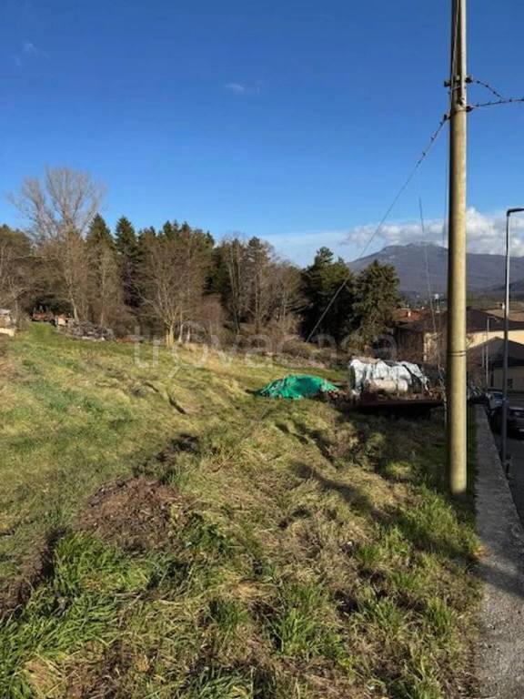 immagine annuncio 2 di 9