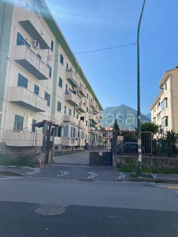 immagine annuncio 3 di 8