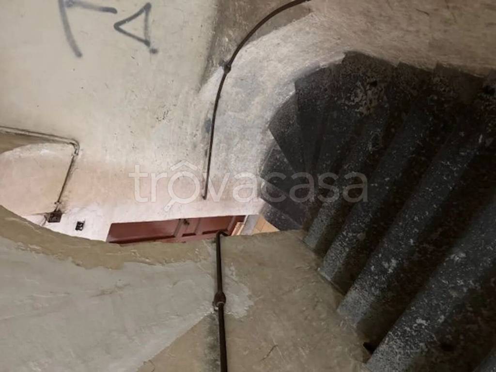 immagine annuncio 5 di 14