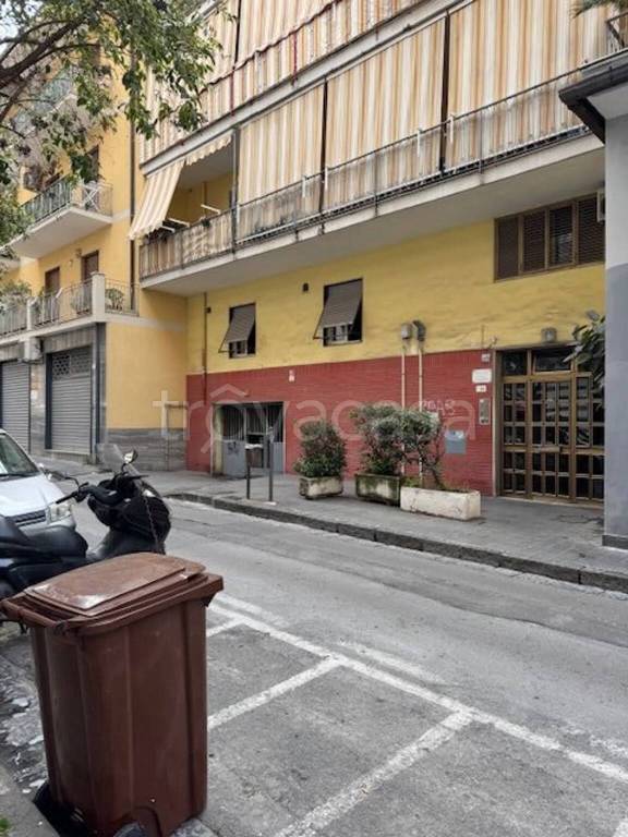 immagine annuncio 3 di 6