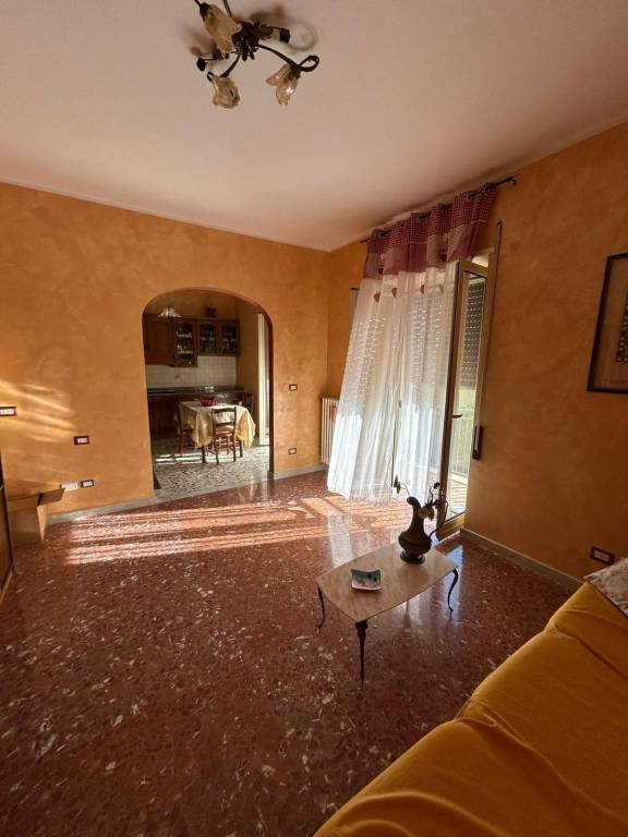 immagine annuncio 1 di 14