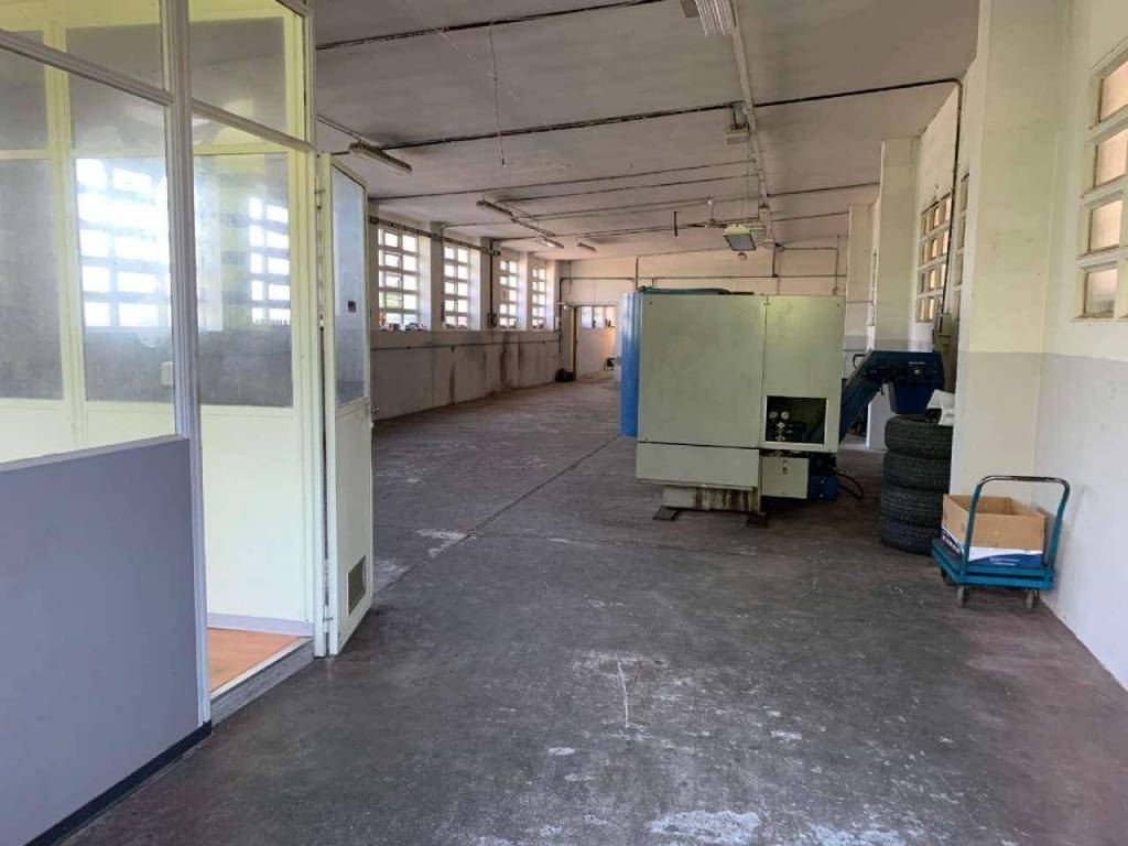 immagine annuncio 4 di 15