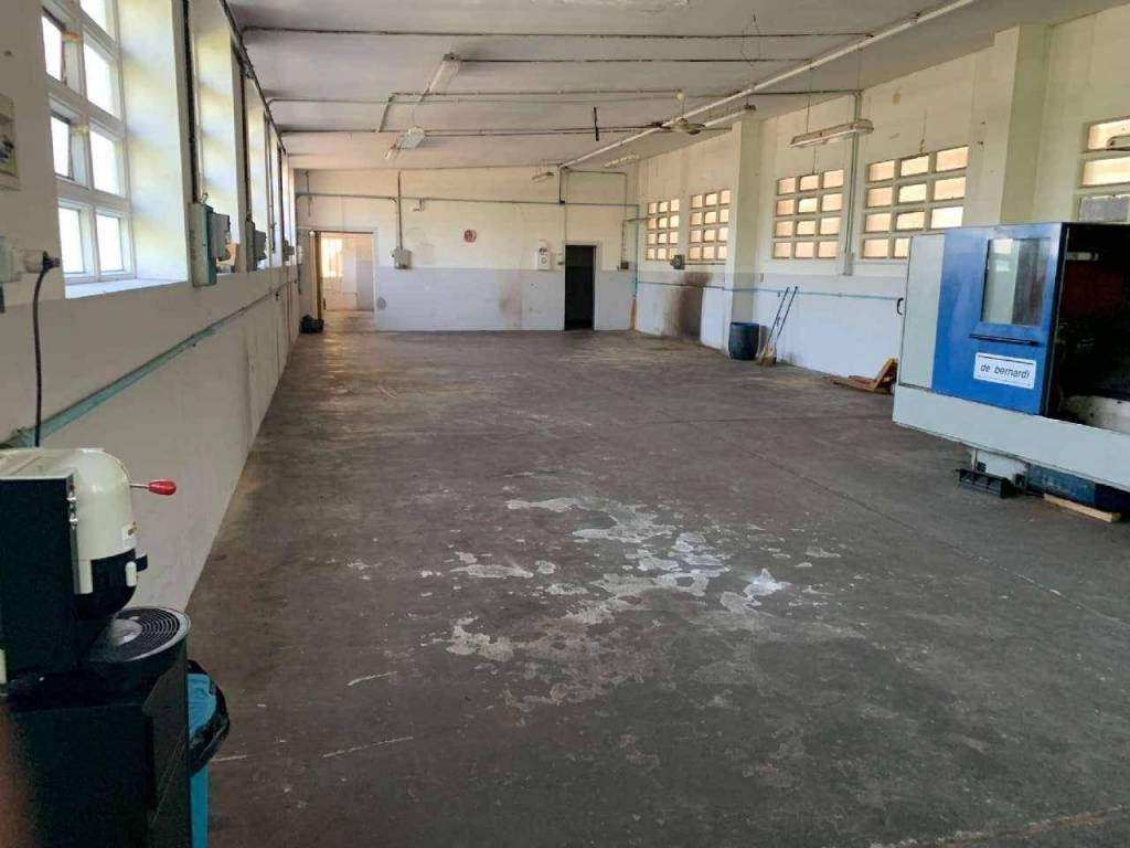 immagine annuncio 5 di 15