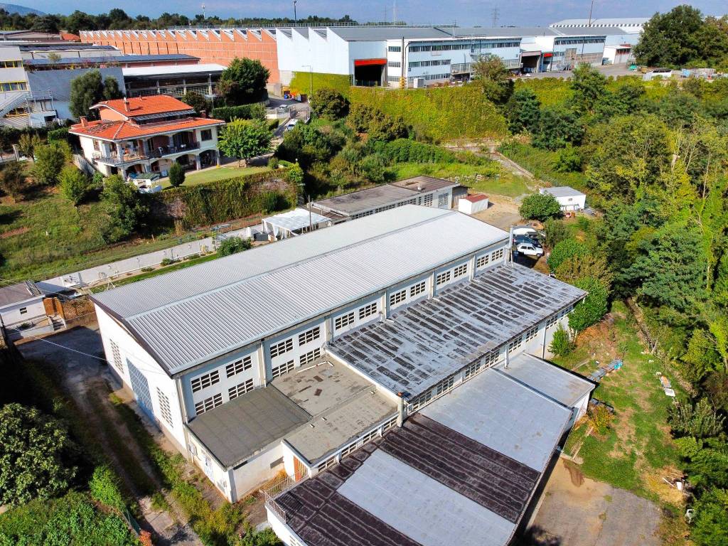 immagine annuncio 12 di 15