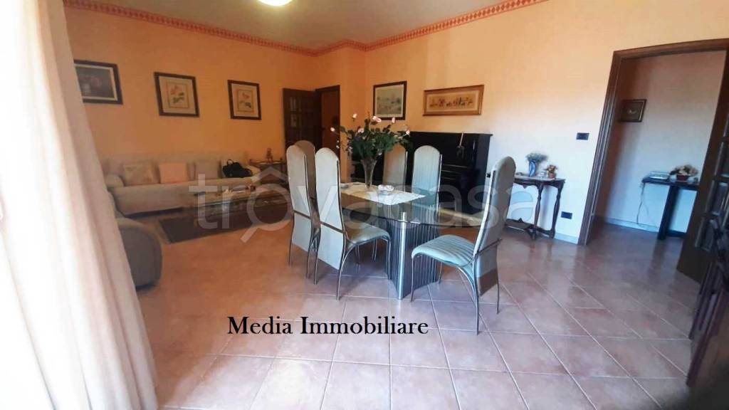 immagine annuncio 4 di 14