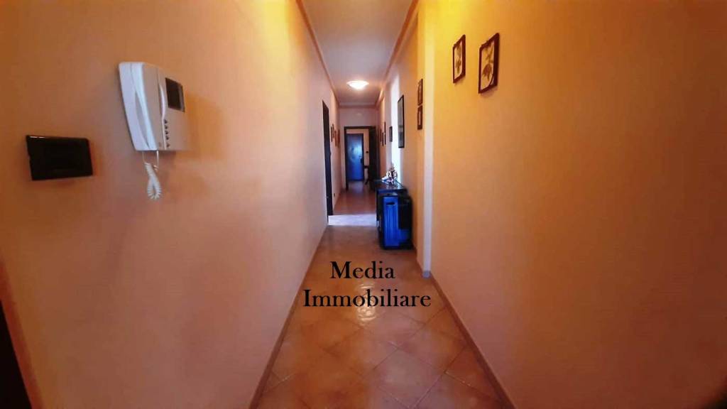 immagine annuncio 6 di 14