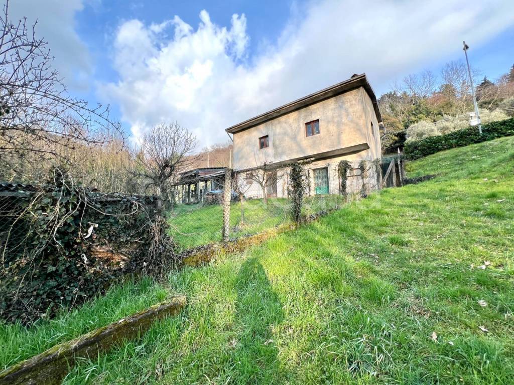 immagine annuncio 3 di 12