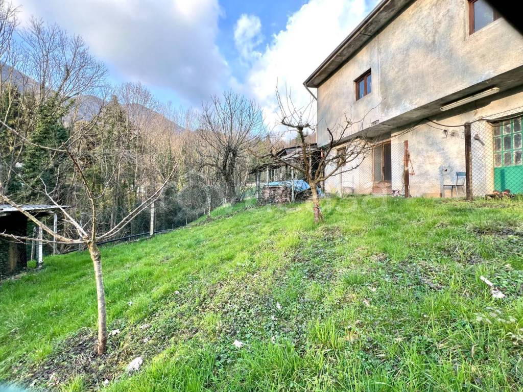 immagine annuncio 5 di 12