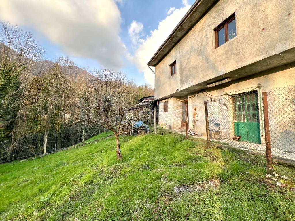 immagine annuncio 4 di 12