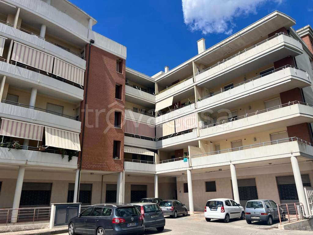 immagine annuncio 1 di 12