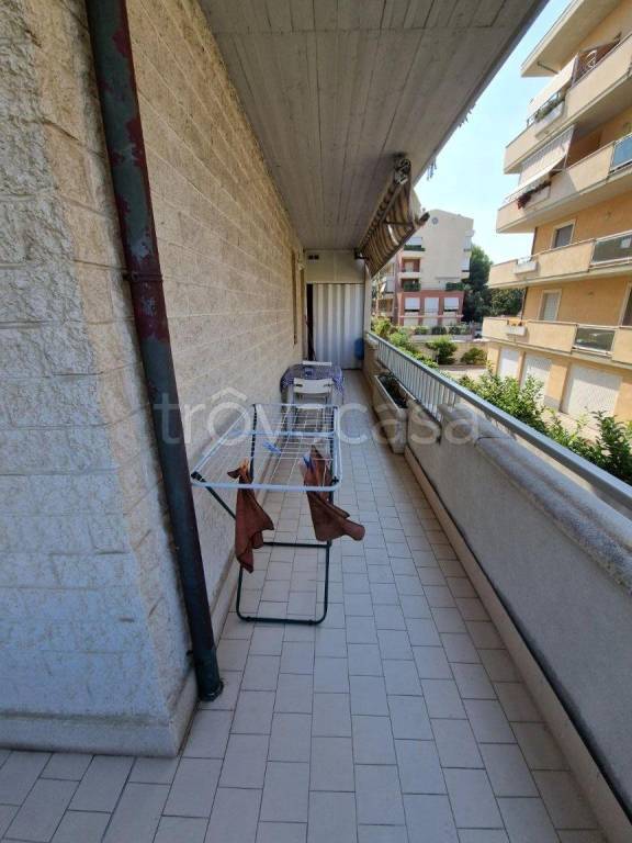 immagine annuncio 9 di 13