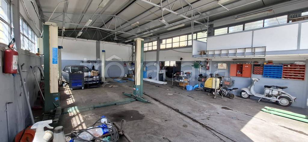 immagine annuncio 12 di 15