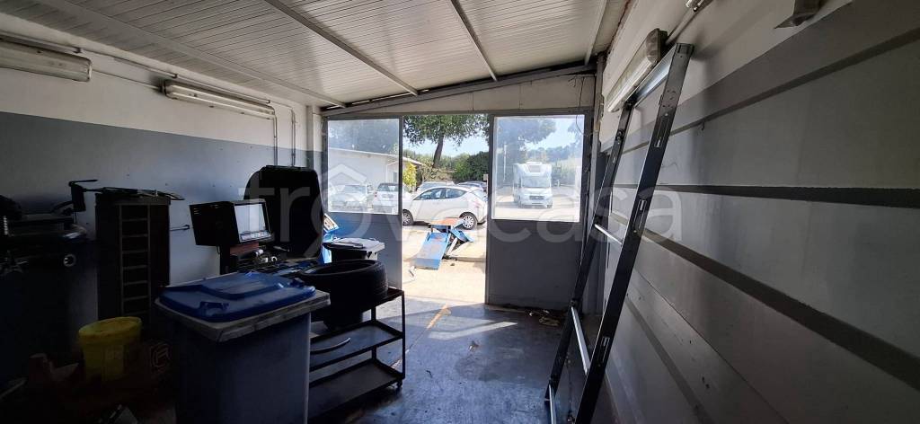 immagine annuncio 14 di 15