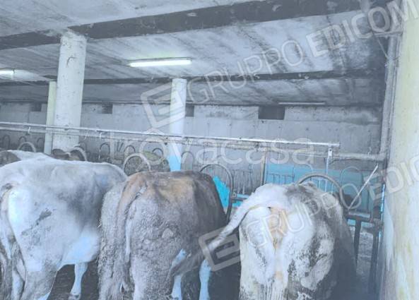 immagine annuncio 9 di 13