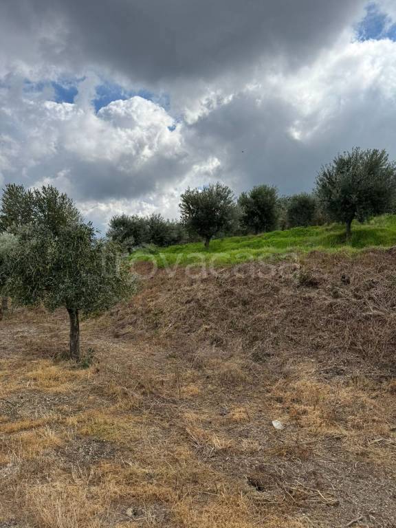 immagine annuncio 3 di 7