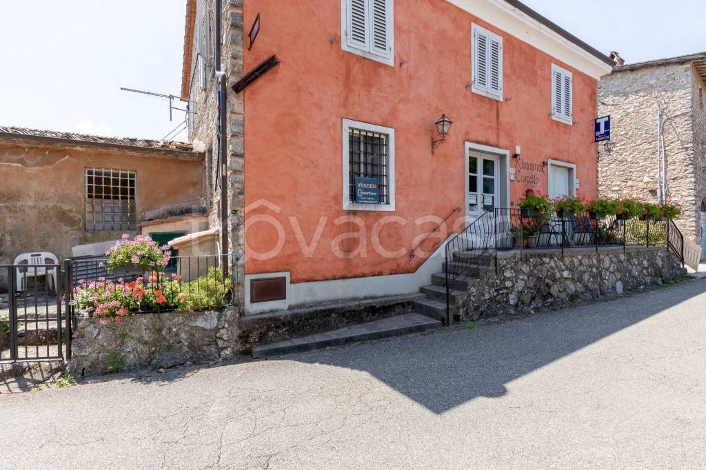 immagine annuncio 1 di 13