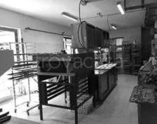 immagine annuncio 4 di 9