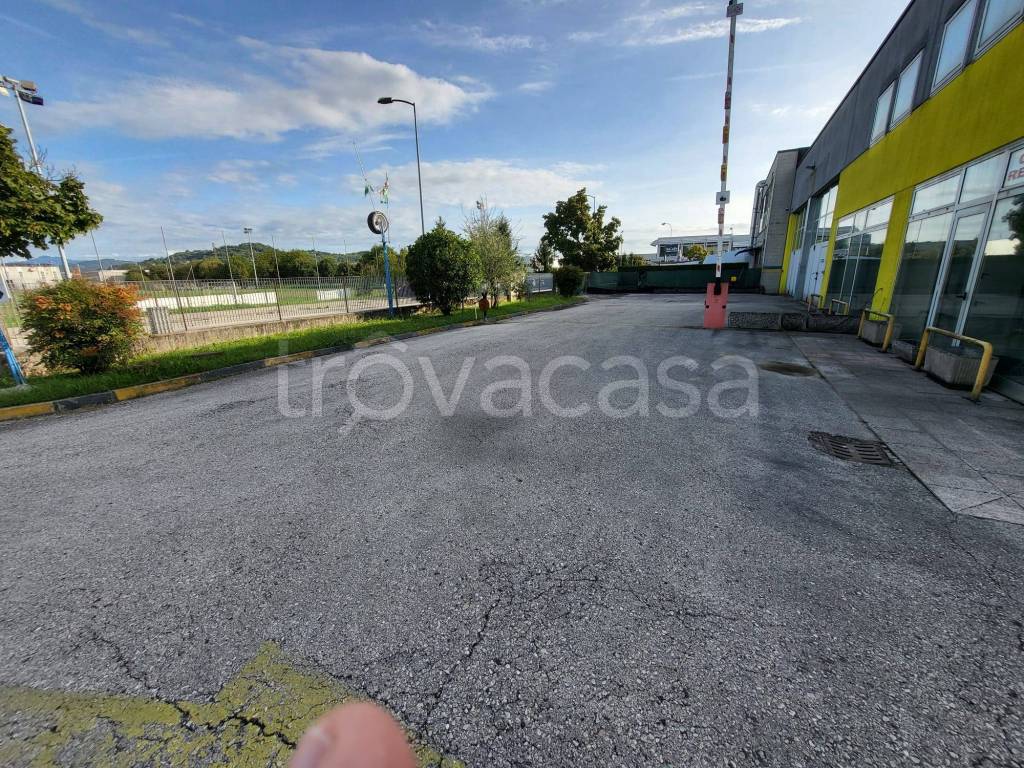 immagine annuncio 5 di 11
