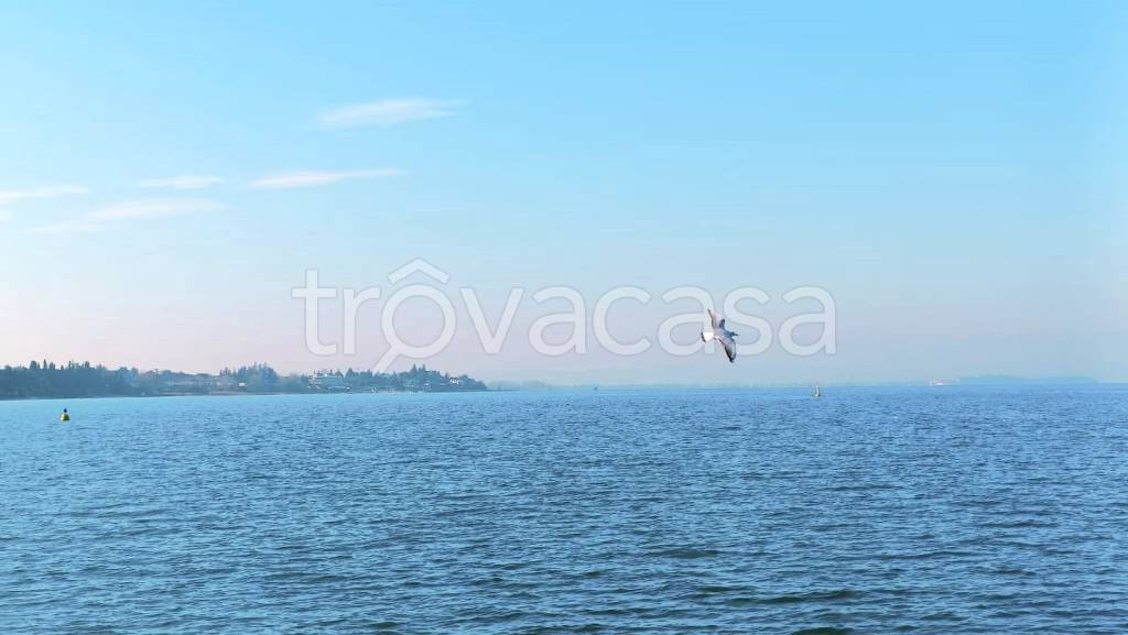 immagine annuncio 3 di 7