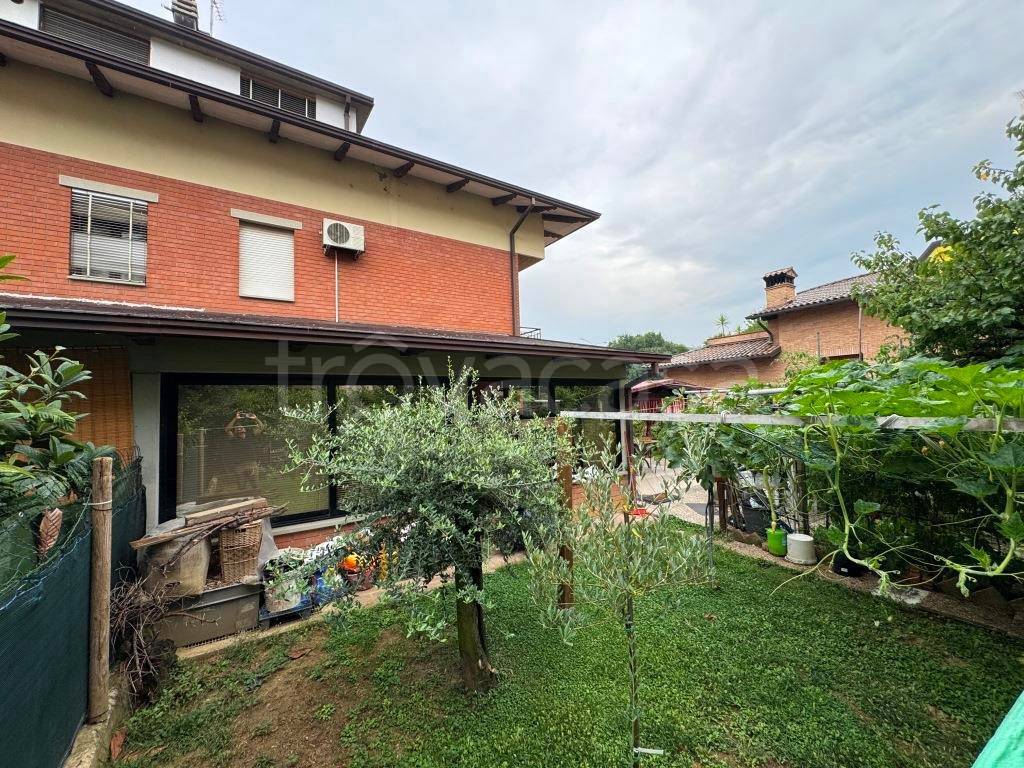 immagine annuncio 8 di 15