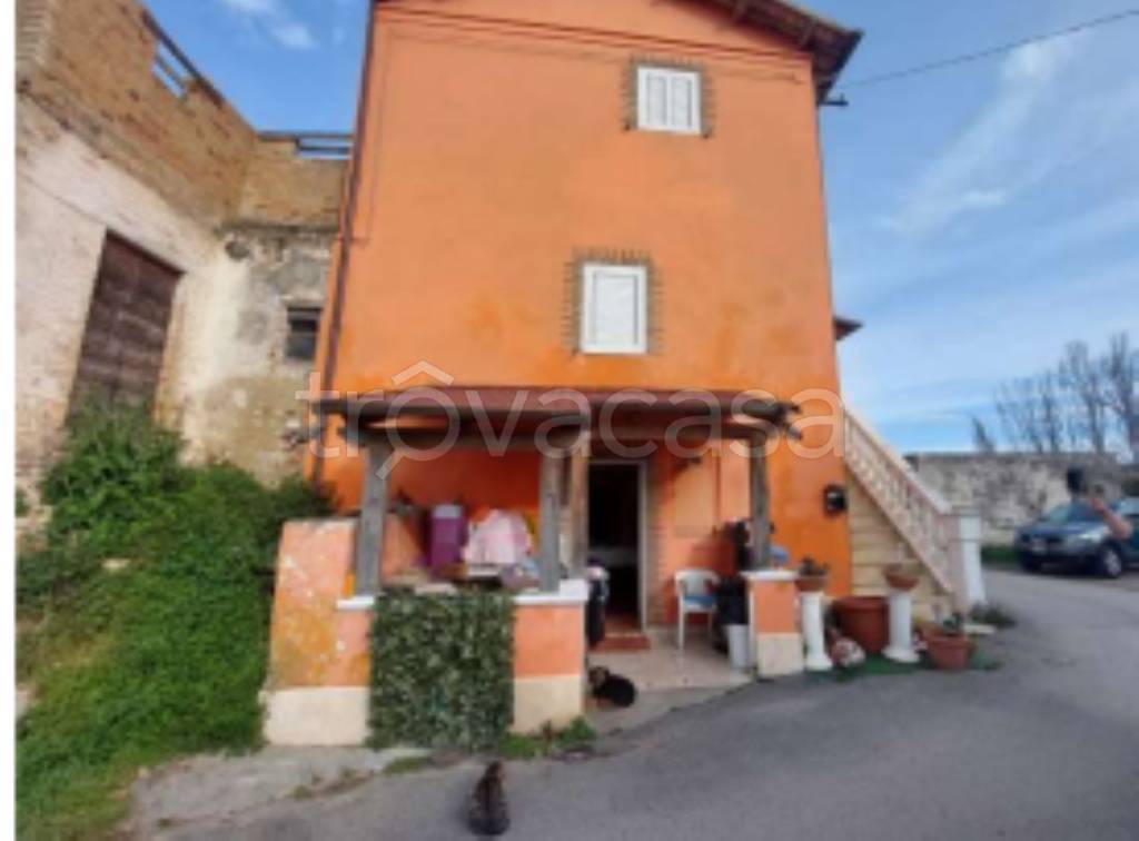 immagine annuncio 4 di 12