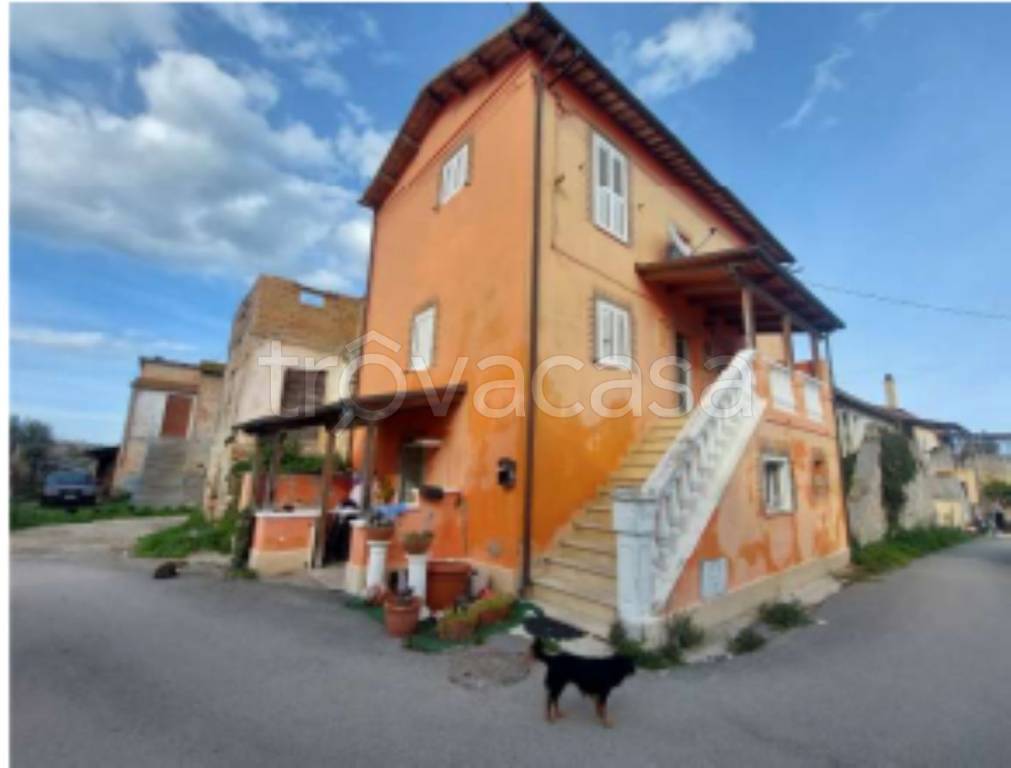 immagine annuncio 8 di 12