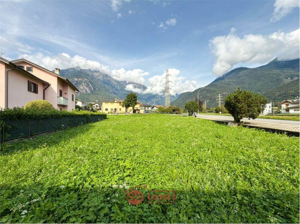 immagine annuncio 2 di 7