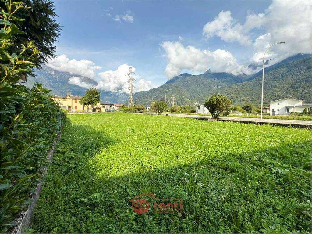 immagine annuncio 3 di 7