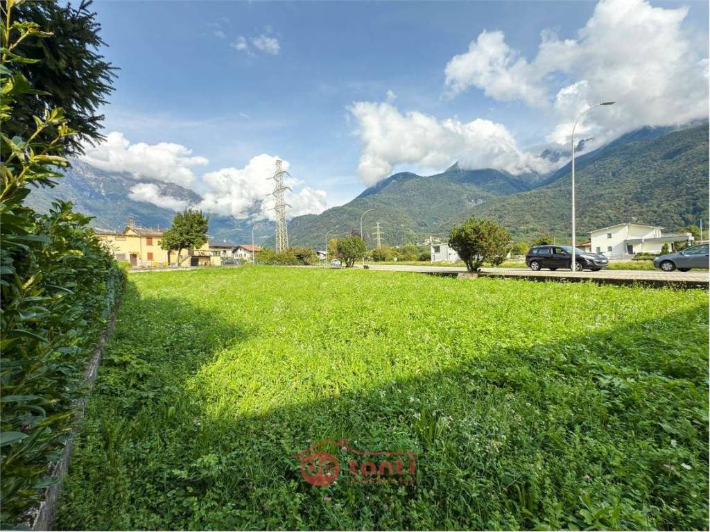 immagine annuncio 5 di 7