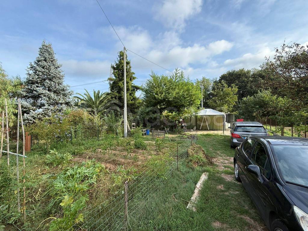 immagine annuncio 1 di 6