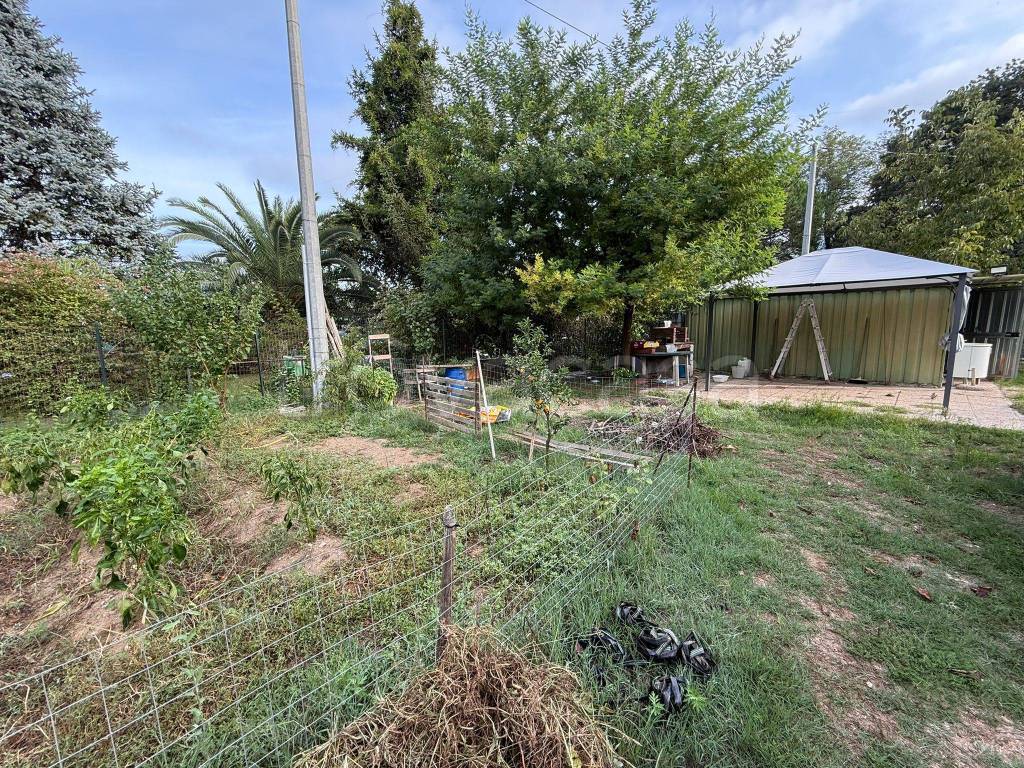 immagine annuncio 3 di 6