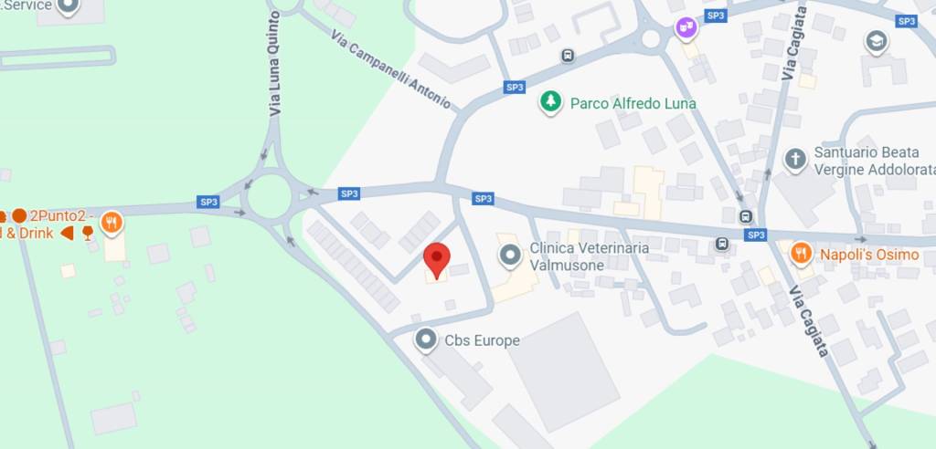 immagine annuncio 4 di 11